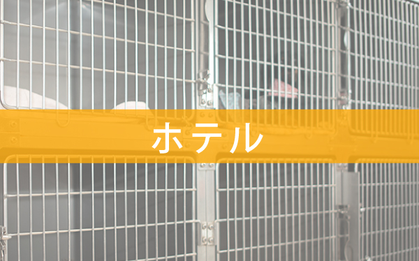 一時お預かりなどのペットホテル