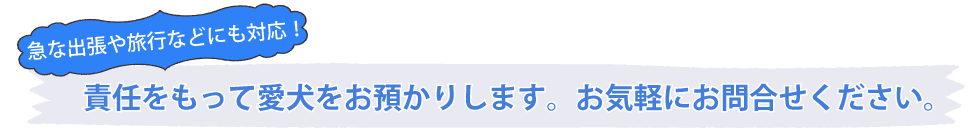 責任をもって愛犬お預かりします。お気軽にお問合せください