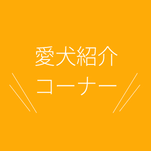 愛犬紹介コーナー